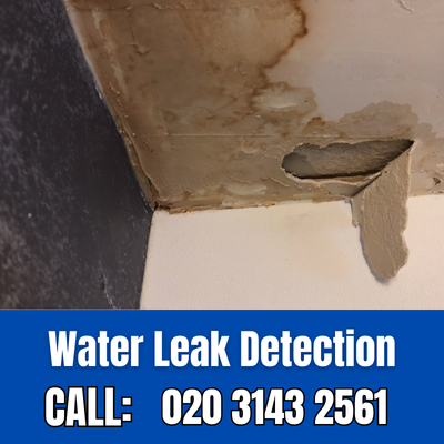 Expert Water Leak Detection Services in Northwood Hills | Northwood Hills Leak Detection